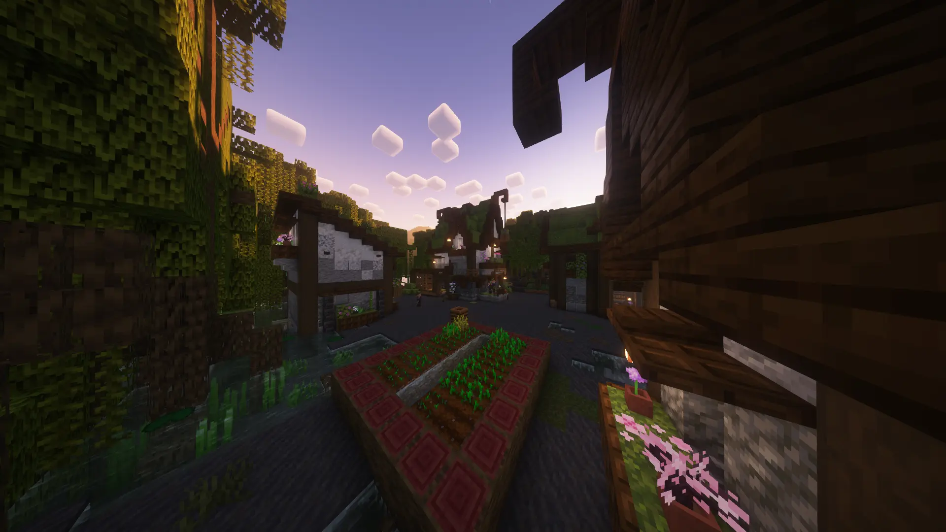 SMP2 Eindruck