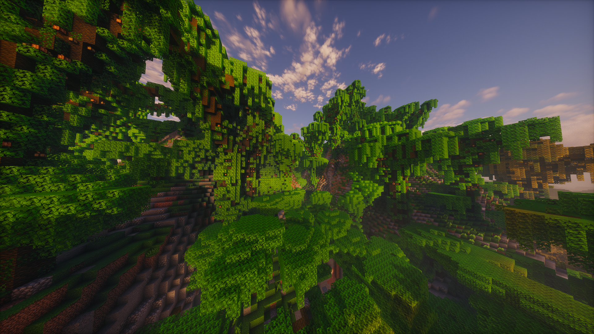 SMP2 Eindruck